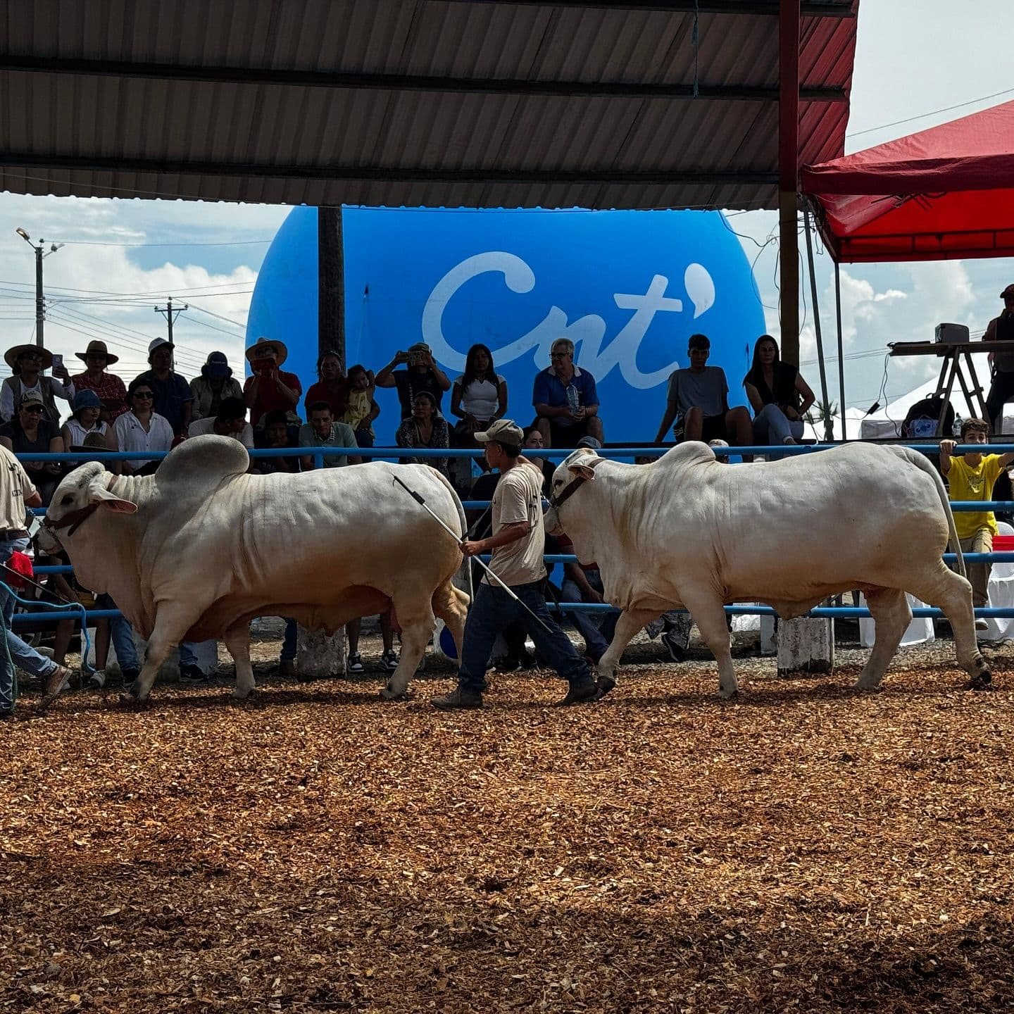 ASO. GANADEROS BALZAR