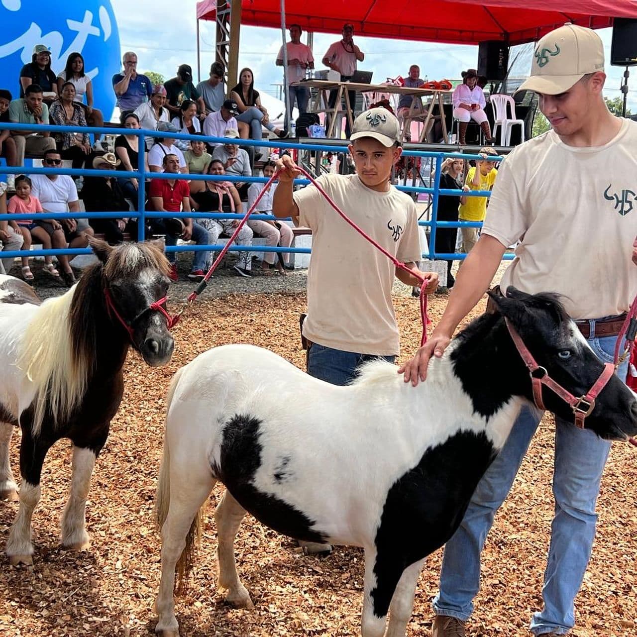 Pasión por el Brahman